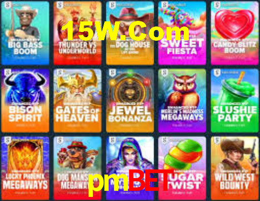 Premium Interface pmbet